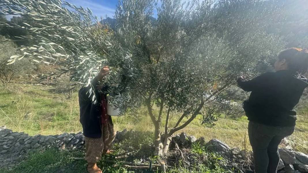 Akseki’de 88’lik Emine Teyze Gençlere Taş Çıkartıyor! 7